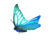 225_204gif 动态图 动图